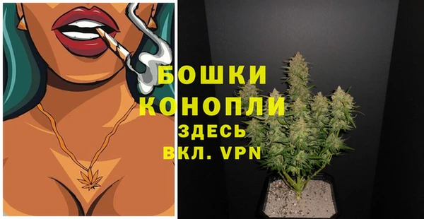 гашик Новозыбков