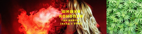spice Осташков