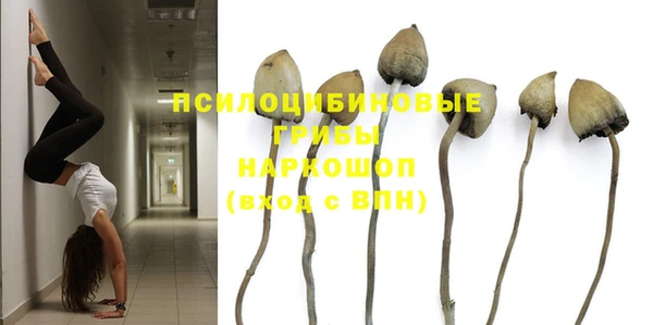 героин Няндома