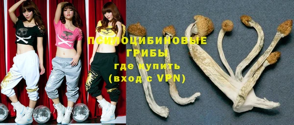 героин Няндома