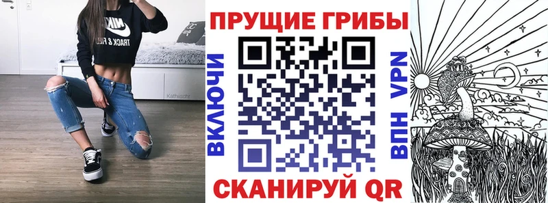 Галлюциногенные грибы Psilocybine cubensis  Микунь 